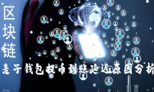 麦子钱包提币到账延迟原因分析
