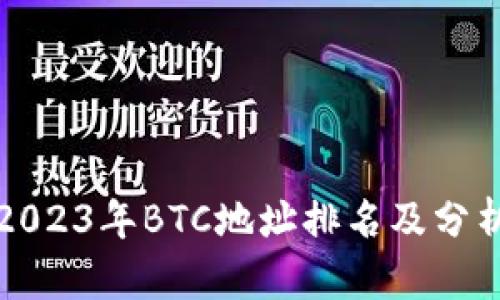 2023年BTC地址排名及分析